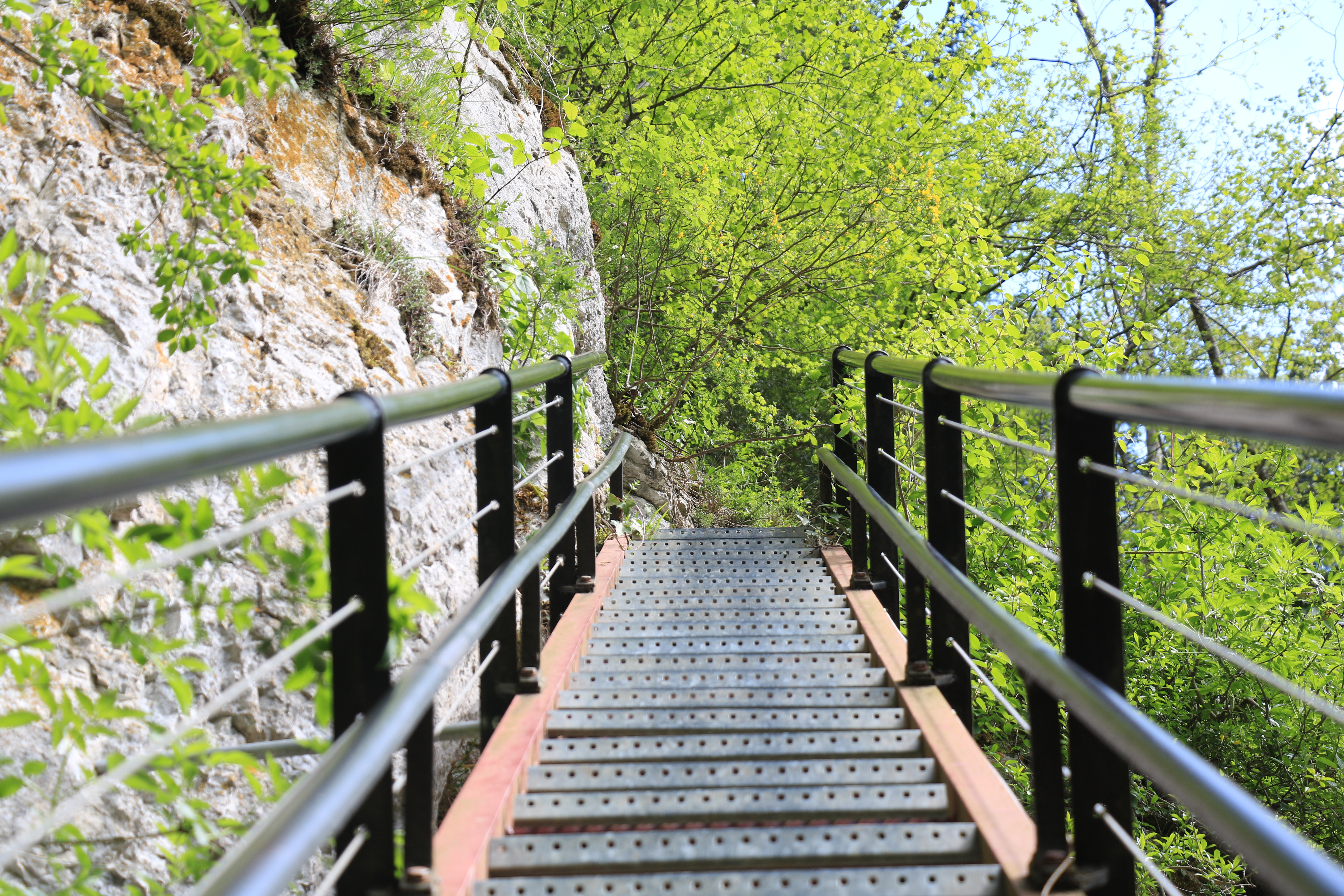 Ladders of Death_spring©elisepourny (27) Ladders of death, stairs, valley of death, pays horloger, Fournet Blancheroche