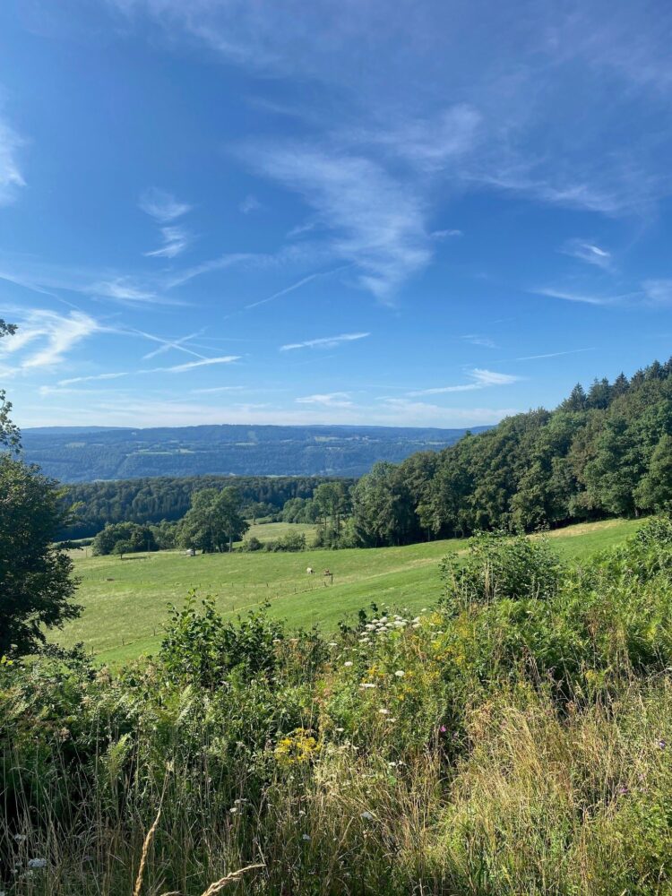 Montaigu Valoreille viewpoint pays horloger