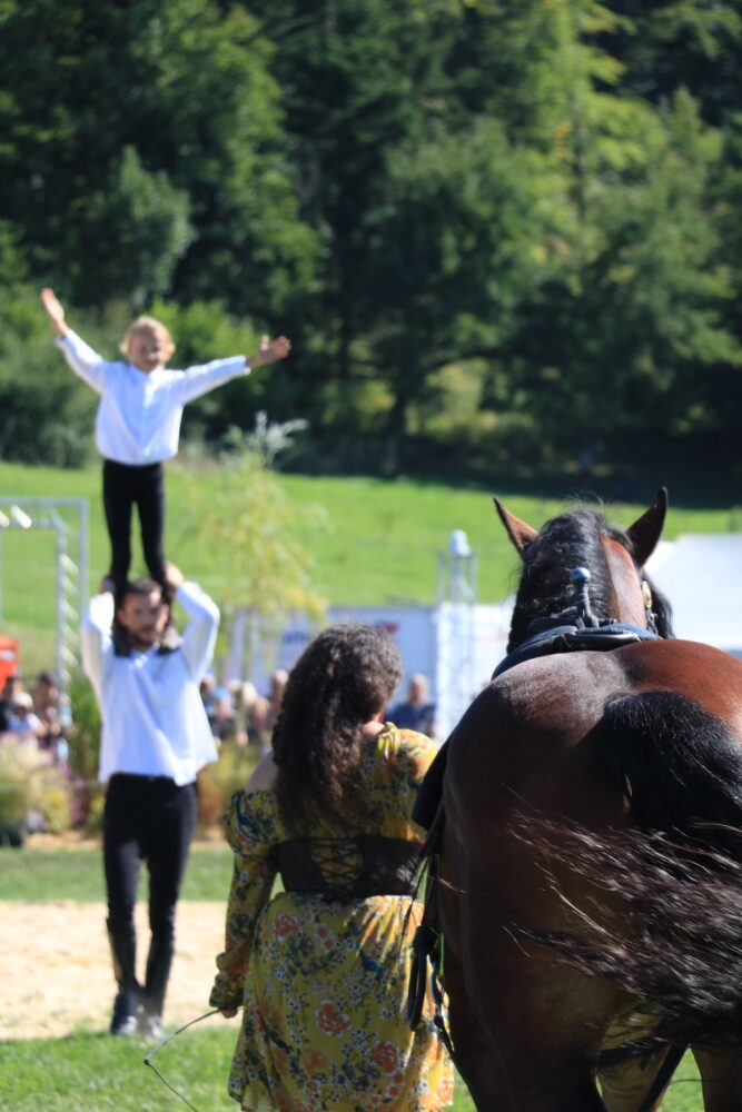 concours national cheval comtois maiche pays horloger