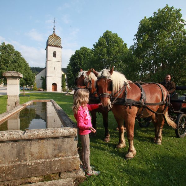 Comtois paardenkoets, drinkplaats, dorp Comtois