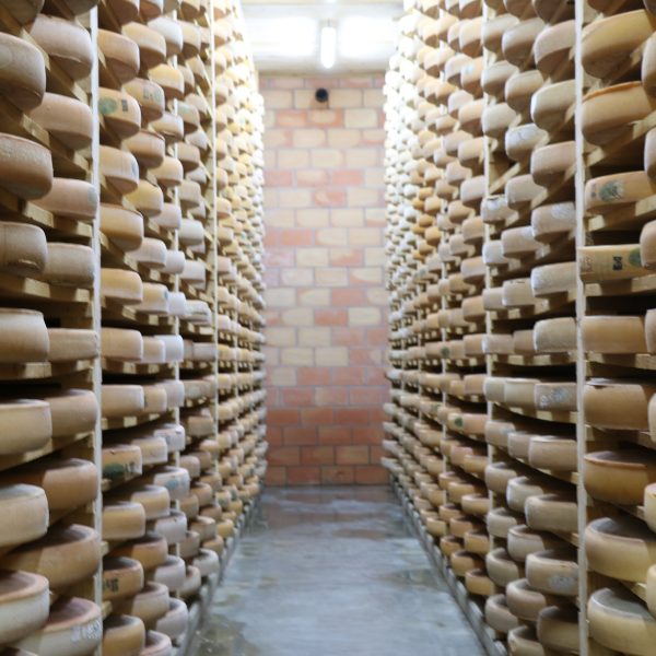 fruitière comté pays horloger fromagerie