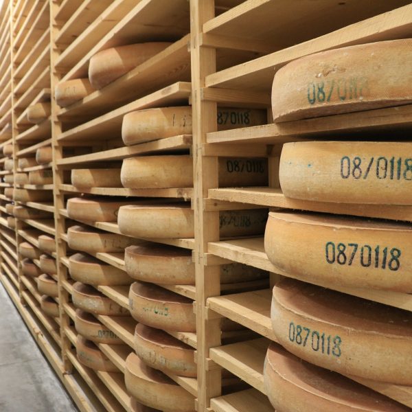 comté fruitière fromagerie