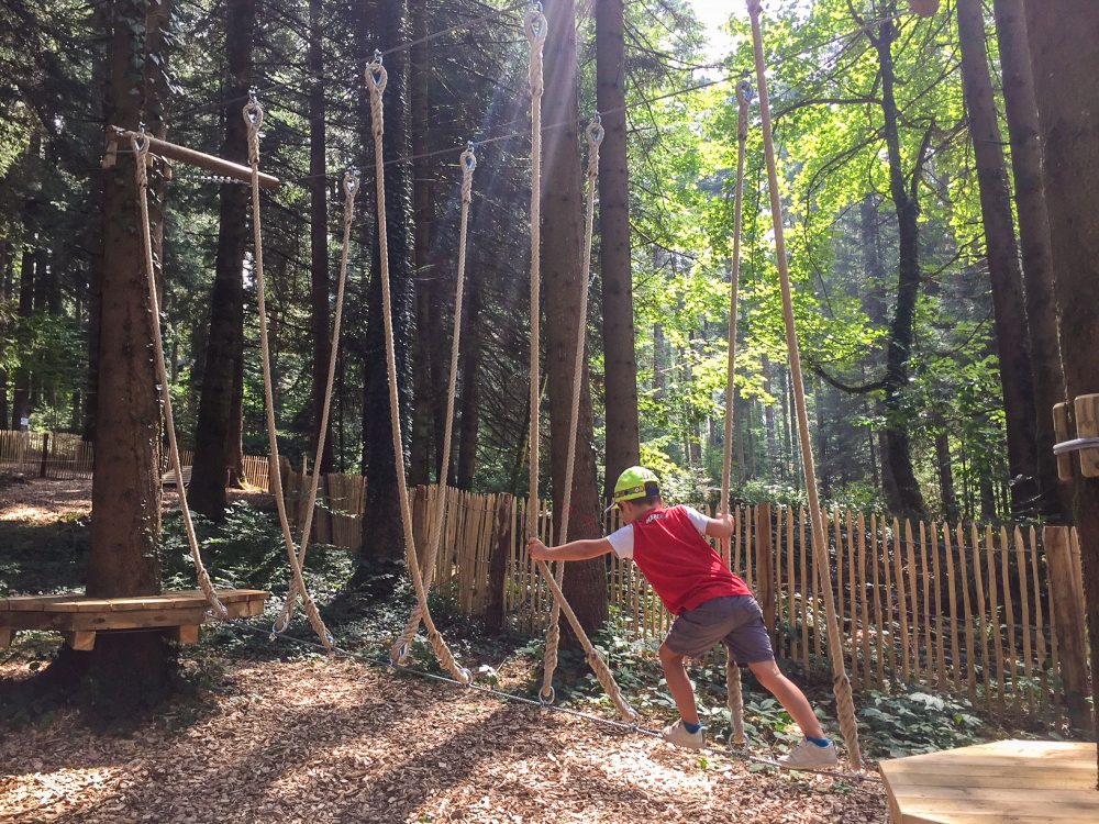 children's family activity treetop adventure in fir forest pays horloger Doubs Jura