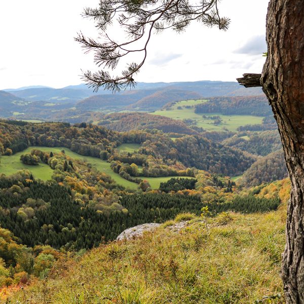 points de vue belvédère pays horloger doubs jura sapins