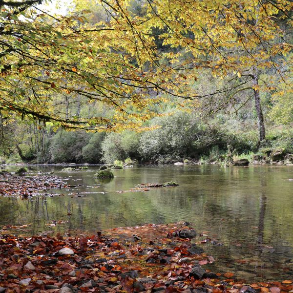 dessoubre automne