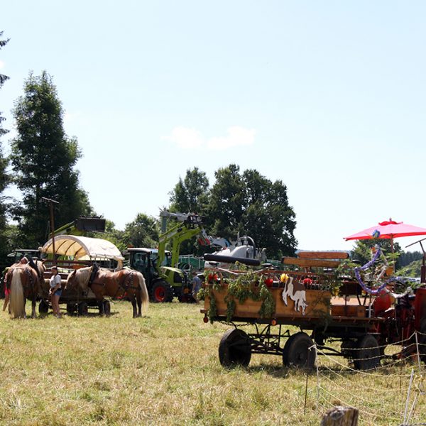 Zondag op de boerderij boerenfeest