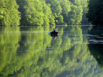 Doubs vissen pays horloger Jura-spoelbakken