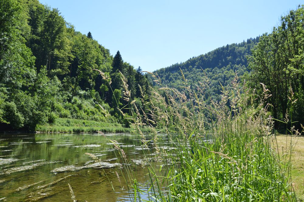 Doubs valley river country Horloer Jura