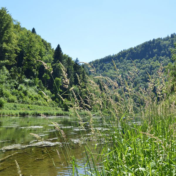 doubs vallée rivière pays horloer jura