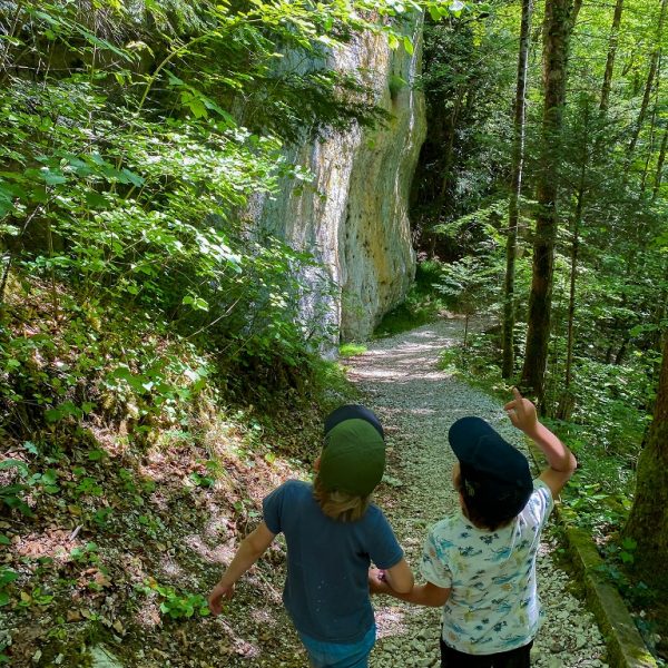 wald familie leitern des todes natur