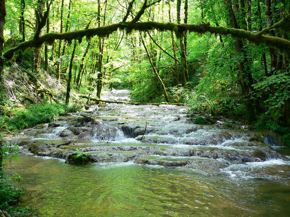Wandeling langs de Waroly-rivier pays horloger Doubs-Jura