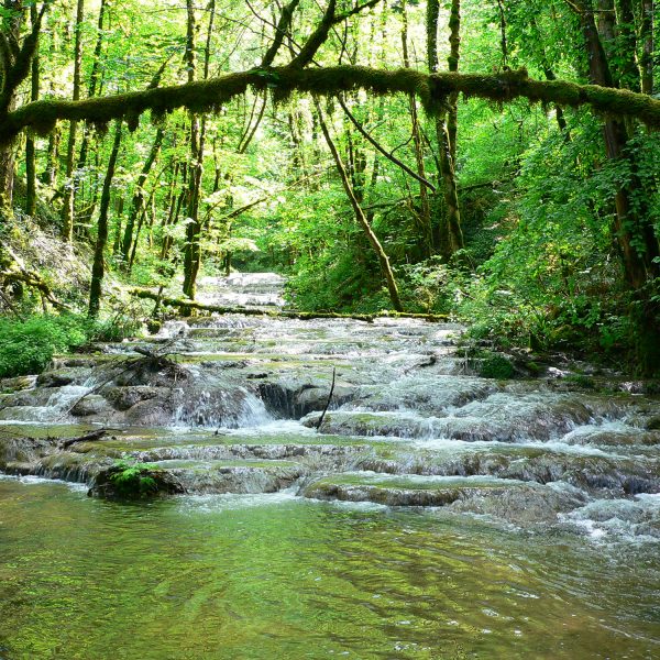 Waroly rivière dessoubre randonnée pays horloger doubs jura