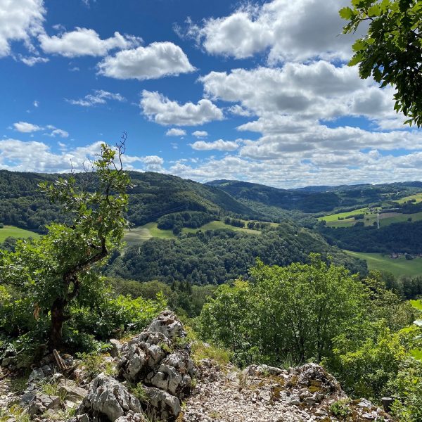cavebisontinviewBief2re©elisepourny Aussichtspunkt auf die Doubs-Reichweite Wandern pays horloger schwört