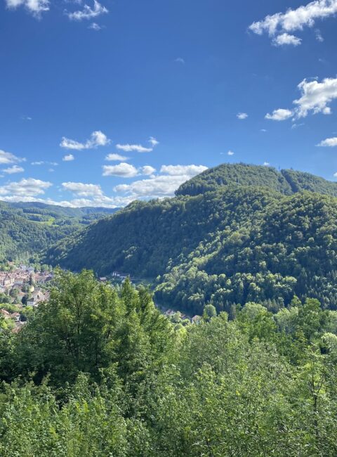 HöhlenbisontinvueSH2©elisepourny Blick auf die Klippen von Saint-Hippolyte, Wanderhöhlen in Bisontin pays horloger Doubs Jura