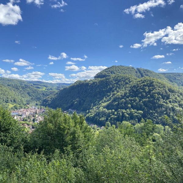 Blick auf die Klippen von Saint-Hippolyte, Wanderhöhlen in Bisontin pays horloger Doubs Jura