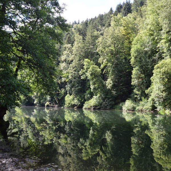 Theusseret Goumois Wandern Doubs pays horloger schwört
