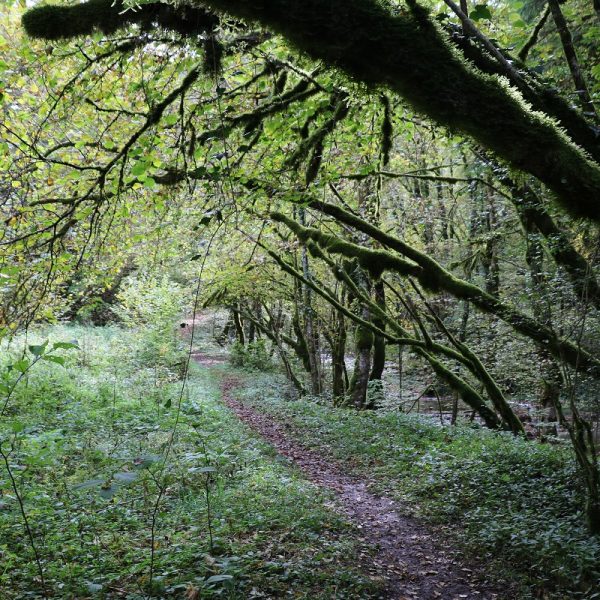 Waroly Schattenmoos Wandern pays horloger Doubs Jura