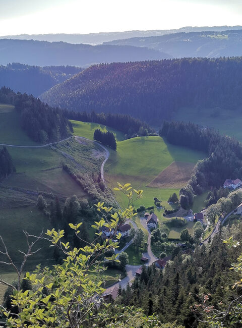 Randonnées à morteau derriere le mont pays horloger doubs jura