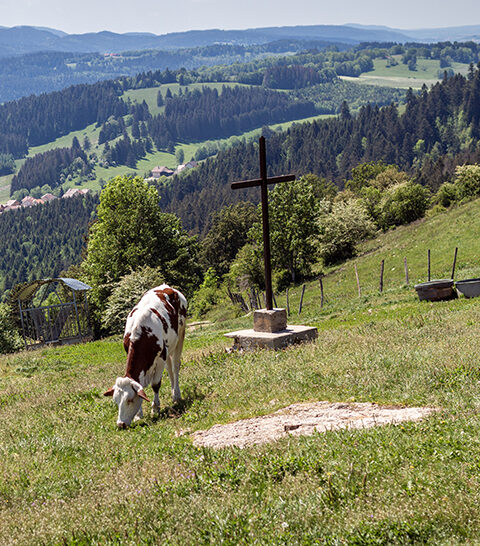 rando morteau mont vouillot pays horloger doubs jura