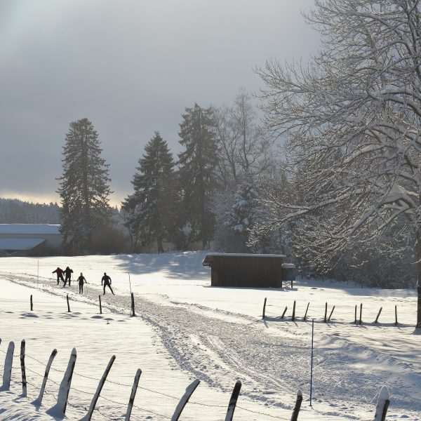 neige ski de fond combe saint pierre pays horloger doubs jura