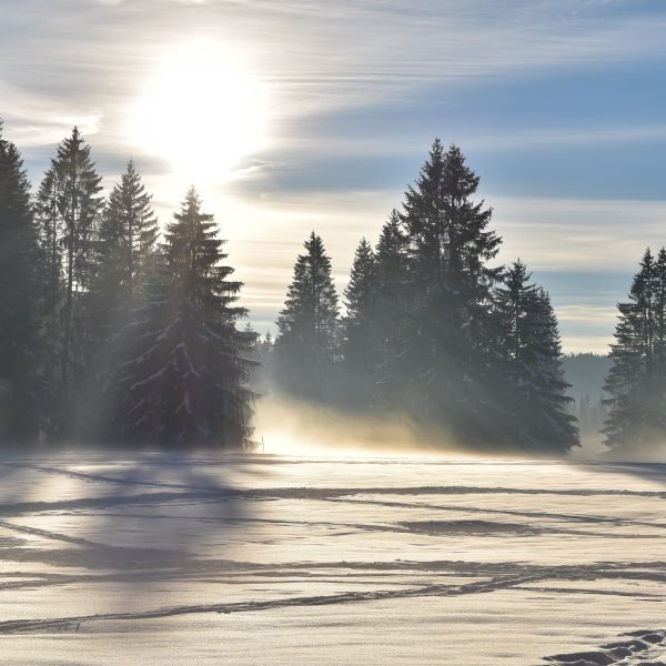 hiver neige gardot sapins pays horloger haut doubs jura