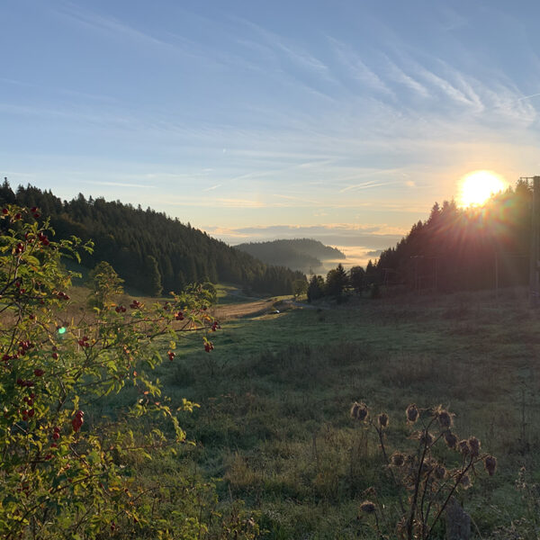paysage au coeur de reves grand combe chateleu