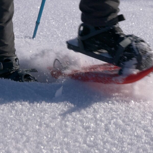 Schneeschuhe©dmprod (3)r Schneeschuhe pays horloger Juragebirge