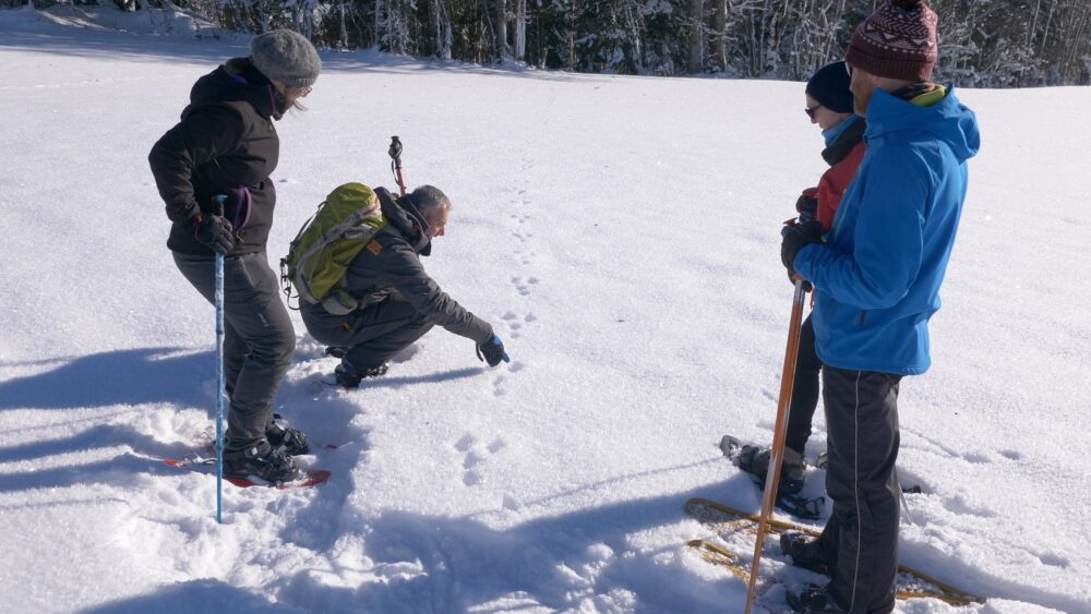 Schneeschuhe Winterwanderung pays horloger Jura Winterferien-Aktivprogramm