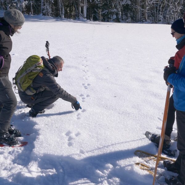 Schneeschuhe©dmprod (8)r Schneeschuhe Winterwanderung pays horloger Jura Winterferien-Aktivprogramm