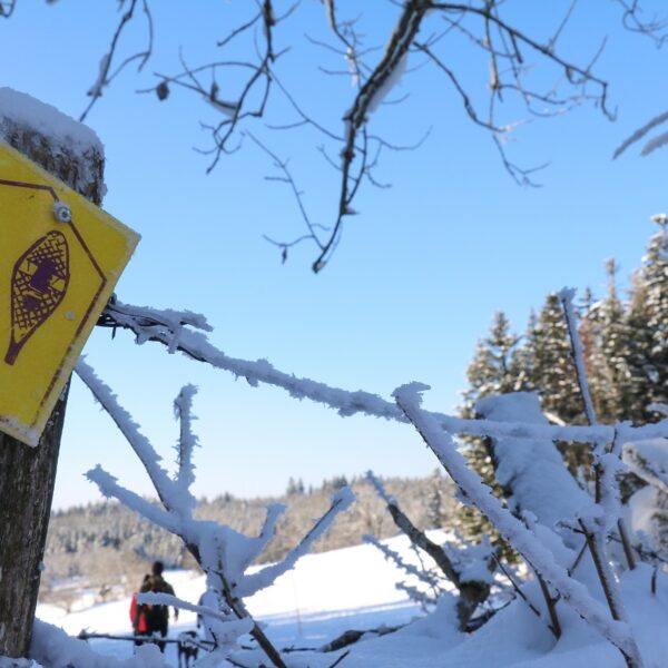 Schneeschuhe_CombeSaintPierre_LePeu©elisepourny (32)-2r Winterschneeschuhwanderweg pays horloger
