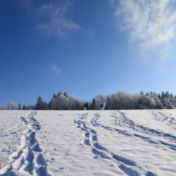 hiver neige raquette pays horloger