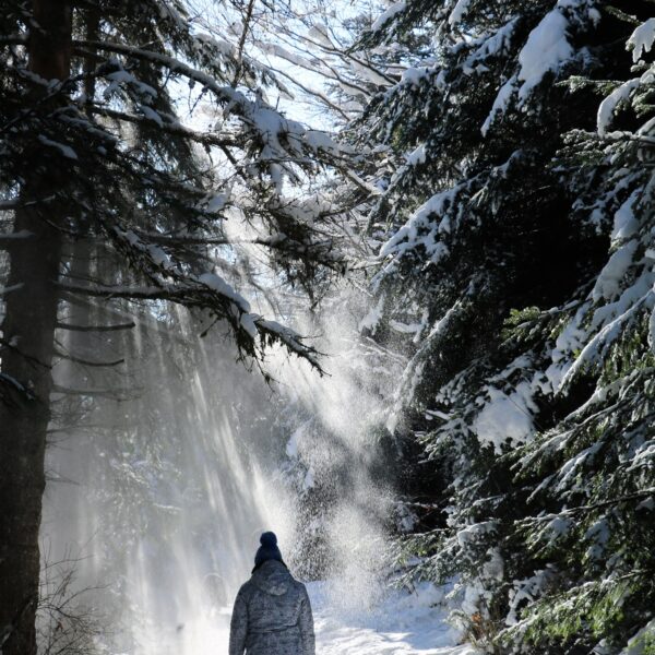 neige hiver combe saint pierre raquette balade pays horloger haut doubs jura