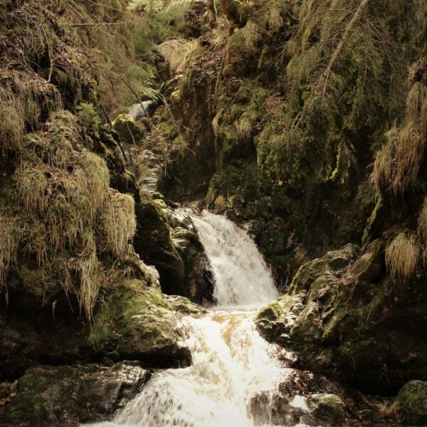 Chaudieres_lesGras©DelphineFerrant (3)-r boilers hiking water waterfall pays horloger Upper Doubs Jura
