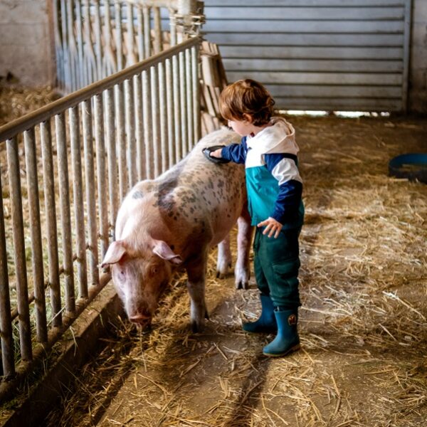 visite ferme animaux dominique le Barboux
