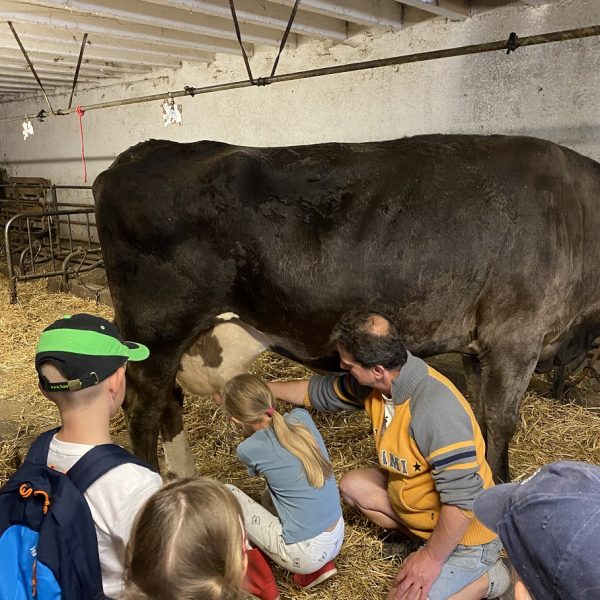 ferme découverte barboux animations enfants pays horloger traite vaches