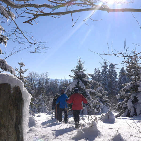 winter snowshoeing snow walk pays horloger swears