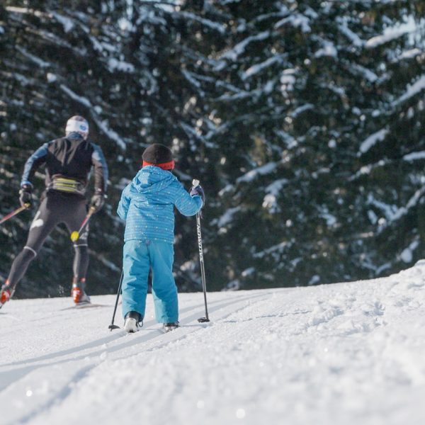 cross-country skiing©dmprod (7)-2r winter snow start cross-country skiing alternative skiing skating mountains Jura pays horloger snow information snow report