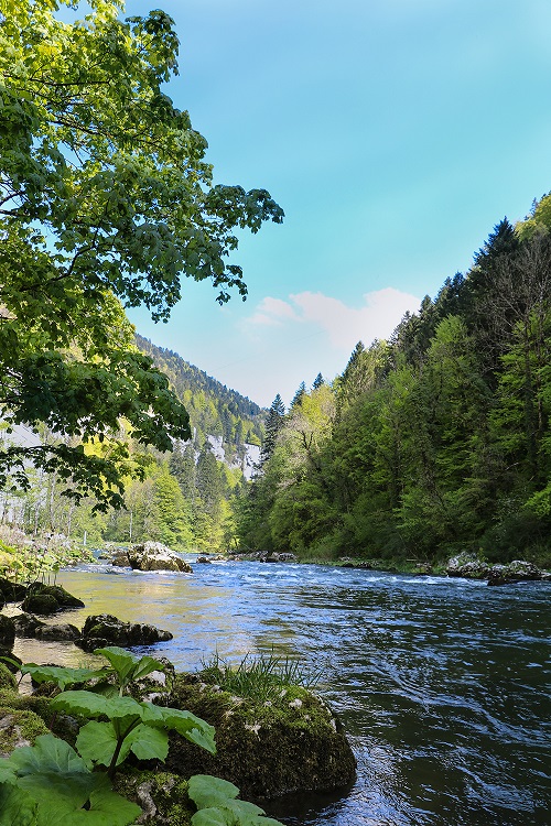 Doubs Valley of Death Ladders pays horloger swears