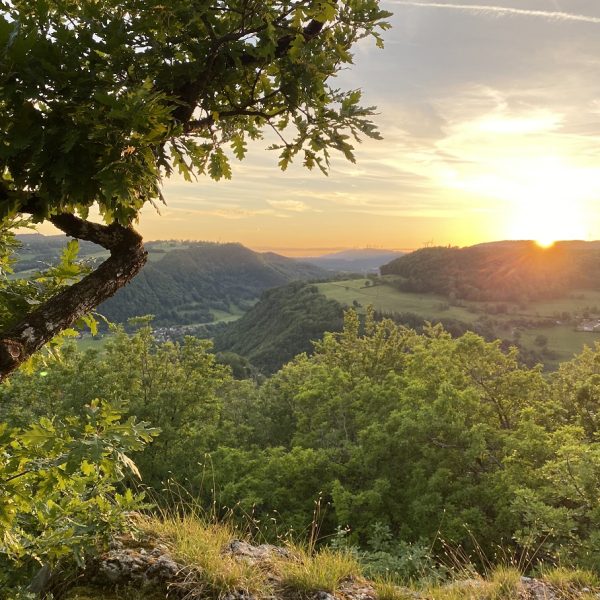 point de vue soir coucher soleil pays horloger