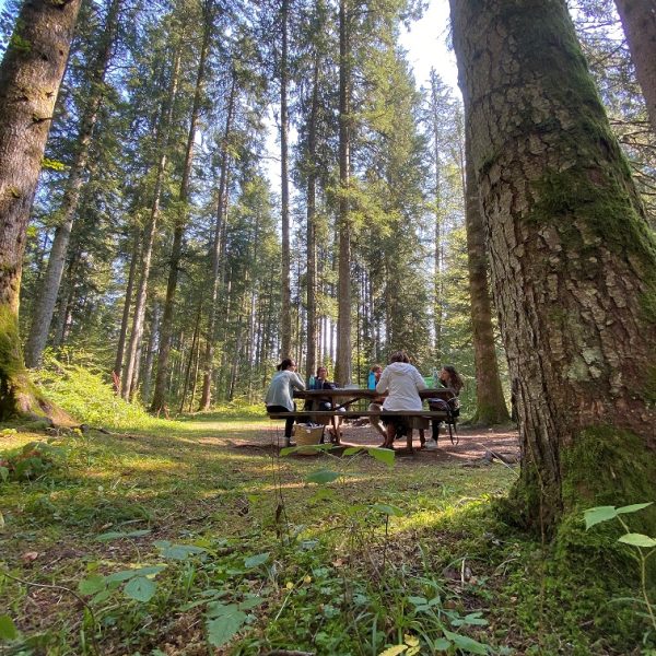 picknickplaats van Russell pays horloger 3 bomen