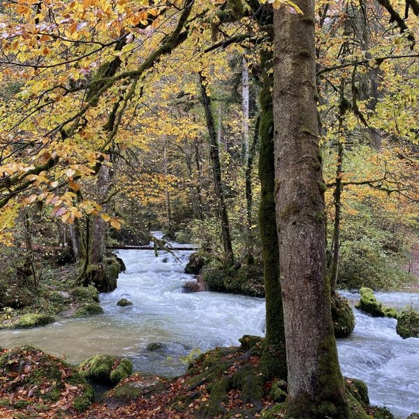 Trost Herbst Quelle Fluss pays horloger PNR Doubs Jura