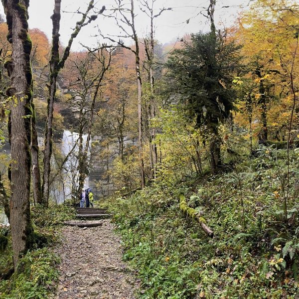 consolation autumn cascade colors pnr doubs watchmaker pays horloger