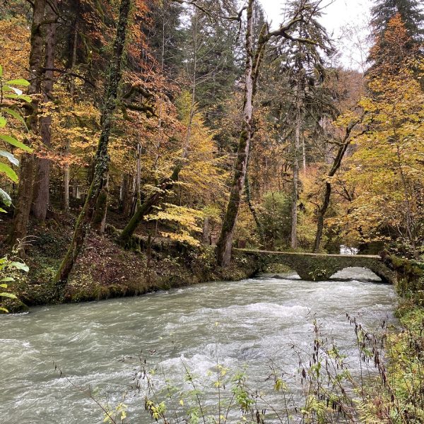 Trost Fluss Brücke Herbst pays horloger Jura PNR Doubs Uhrmacher