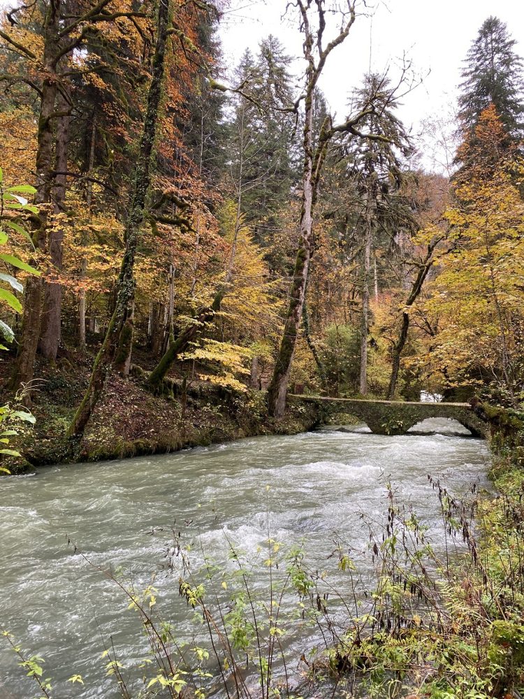 consolation river bridge autumn pays horloger Jura PNR Doubs watchmaker
