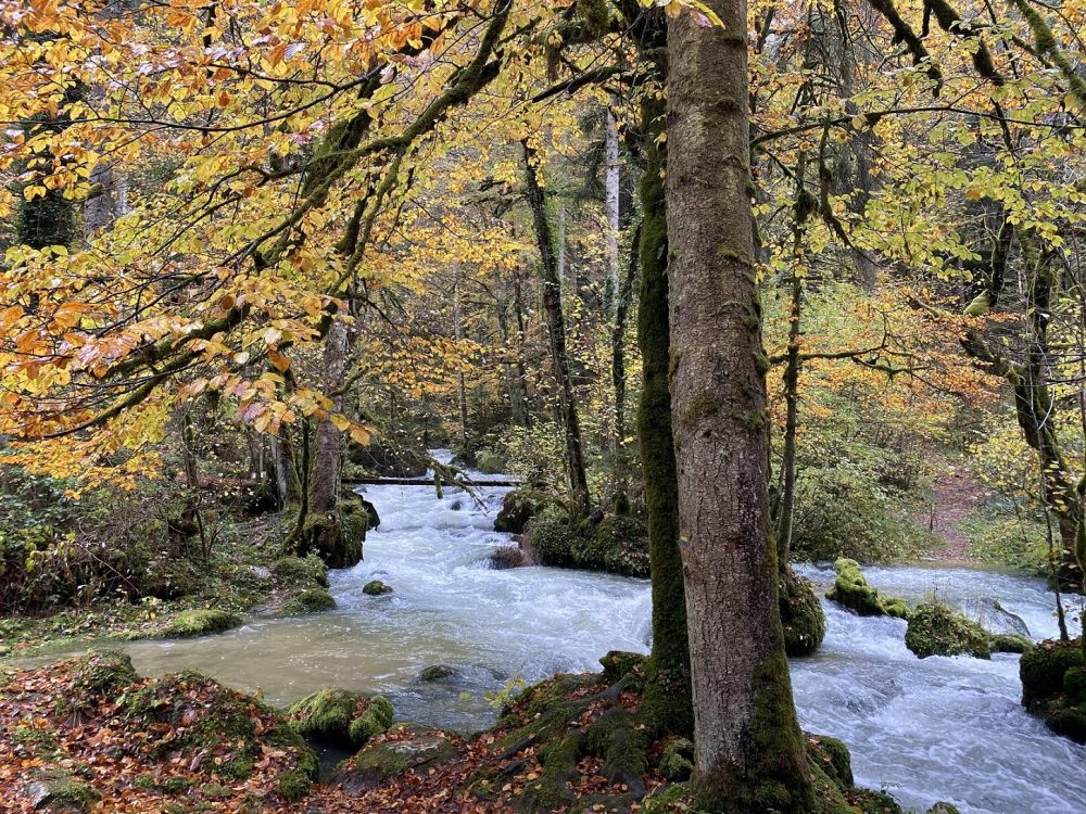 consolation automne source rivière pays horloger pnr doubs jura