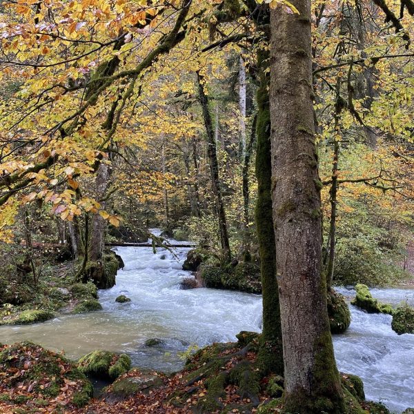 consolation automne source rivière pays horloger pnr doubs jura