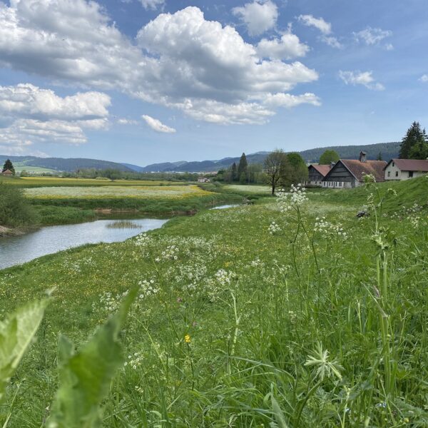 Grand'combe-chateleu fermes comtoise val morteau village caractère pnr doubs jura