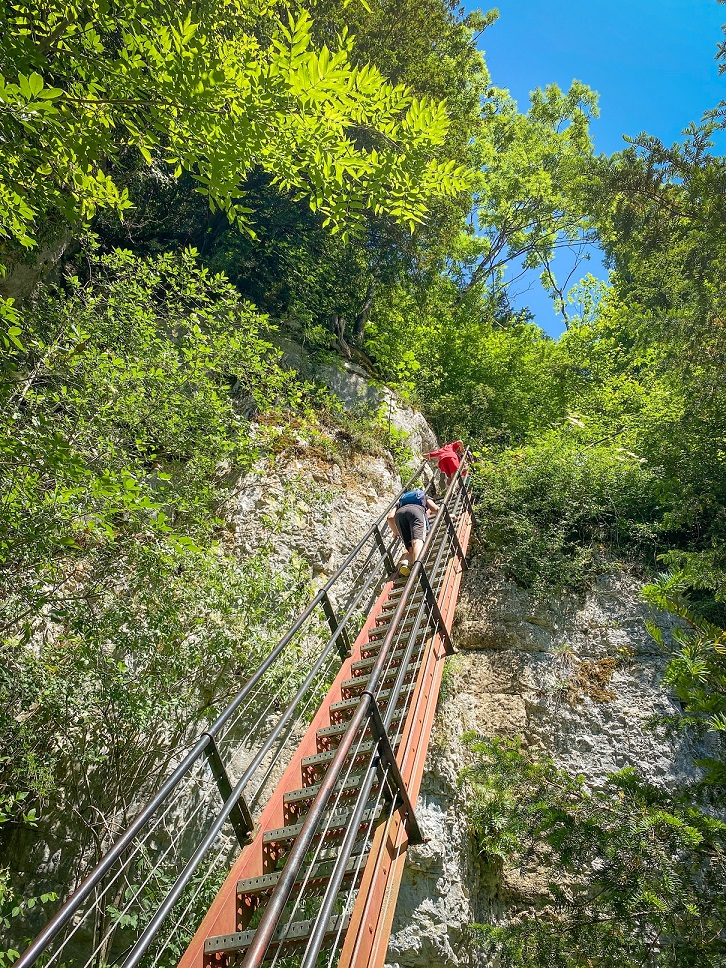 ladders of death pays horloger natural site stairs