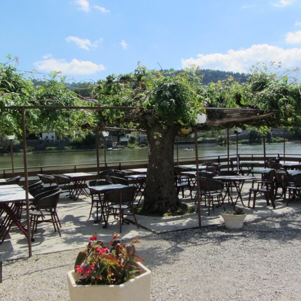 lescygnes©hotel-restaurantlescygnes (7) Terrasrestaurants zomer de zwanen villers le lac bassins doubs pays horloger