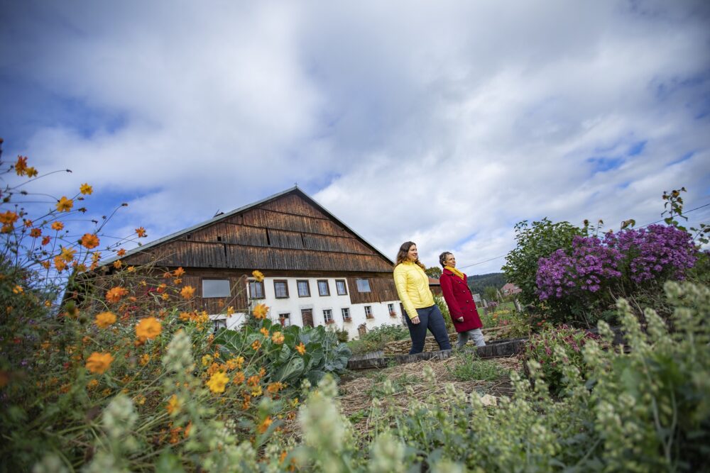 ferme comtoise à tué tuyé visite pays horloger jura